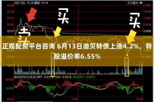 正规配资平台咨询 6月13日迪贝转债上涨4.2%，转股溢价率6.55%