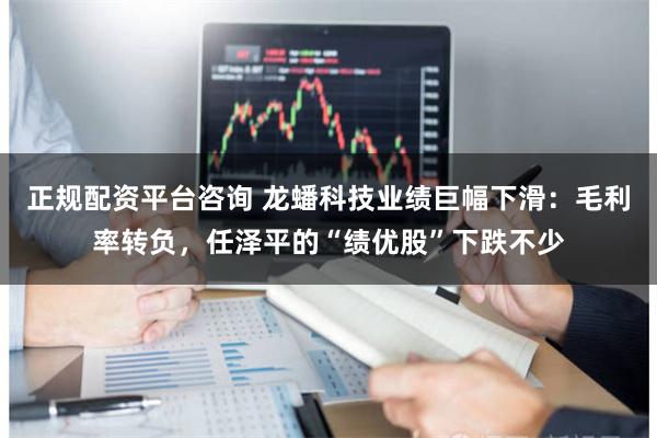 正规配资平台咨询 龙蟠科技业绩巨幅下滑：毛利率转负，任泽平的“绩优股”下跌不少