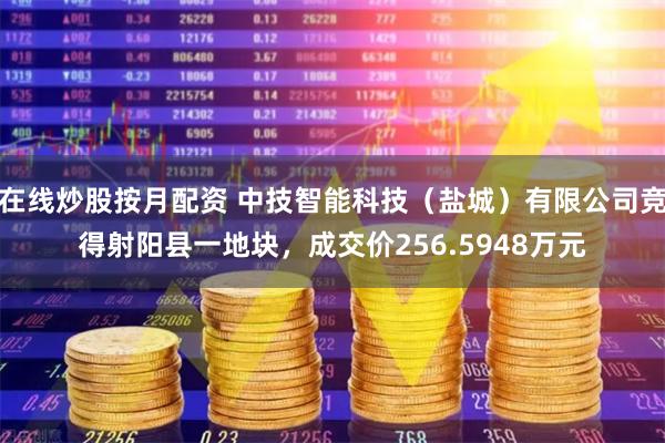 在线炒股按月配资 中技智能科技（盐城）有限公司竞得射阳县一地块，成交价256.5948万元