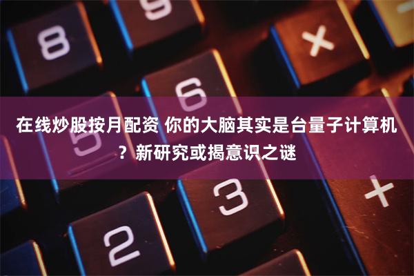 在线炒股按月配资 你的大脑其实是台量子计算机？新研究或揭意识之谜