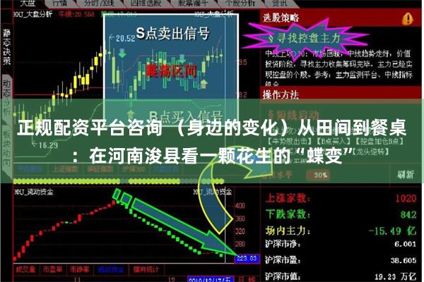 正规配资平台咨询 （身边的变化）从田间到餐桌：在河南浚县看一颗花生的“蝶变”