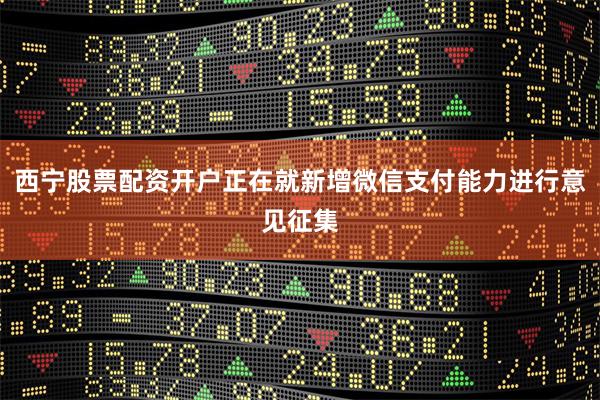 西宁股票配资开户正在就新增微信支付能力进行意见征集