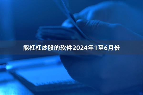 能杠杠炒股的软件2024年1至6月份